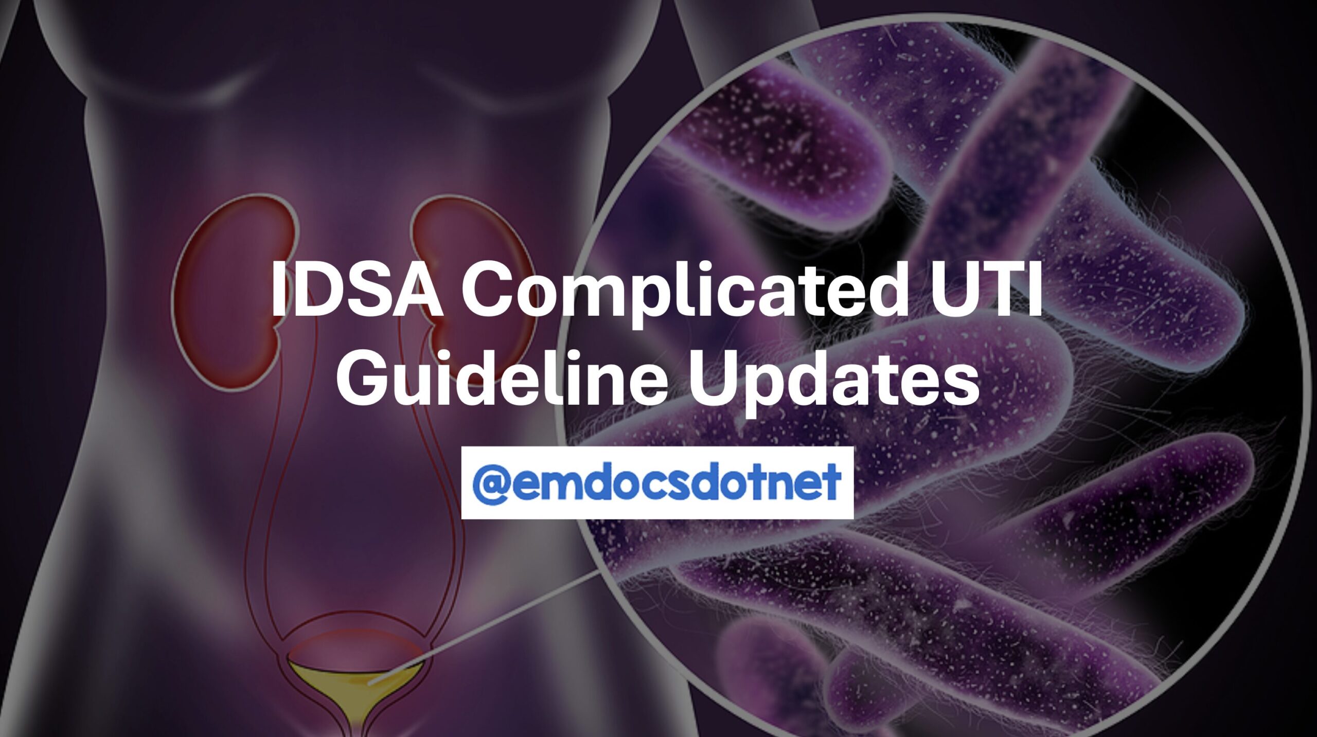 IDSA Complicated UTI Guideline Updates header.
